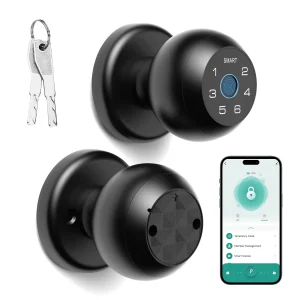 Door Lock with Touchscreen Keypad